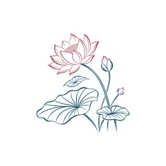 Hand drawn lotus flower and leaves  
