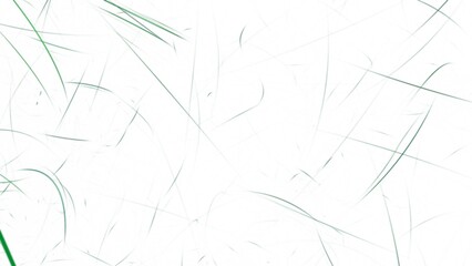 schwungvolle elegante filigrane Linien, dynamisch, kreativ, modern, Ästhetik, Design, Hintergrund, filigranes Muster, geschwungen, Grafik, Technik, weiß grün
