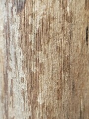 old wood texture