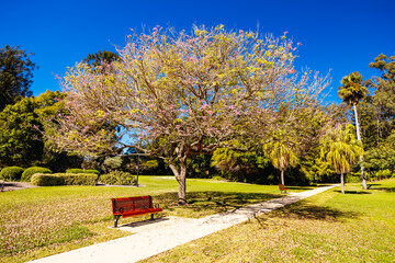City Botanic Gardens in Brisbane Australia