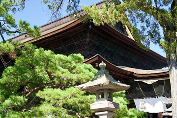 Zenkoji Temple and Pine Trees in Summer