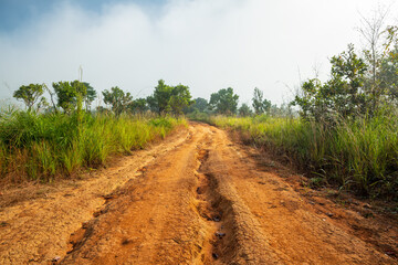 Landscape of gravel road in countryside with meadow in the fog. Road in rainy season. Side view of dirt road in forest. road background.