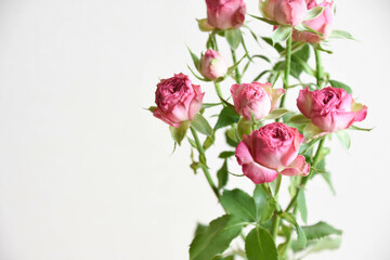 ピンクのスプレーばら