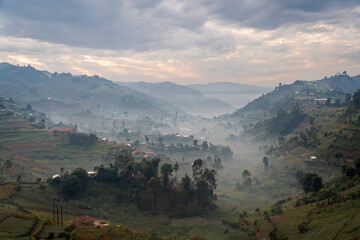 Obraz premium Early morning mist in the Uganda Highlands