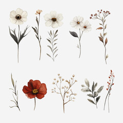 Aesthetic Watercolor Flower Clipart Perfect for Wedding Card Element