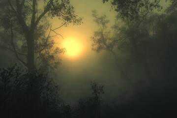 Fototapeta premium Misty sunrise through trees in a serene forest landscape at dawn