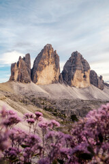 Tre Cime di Lavaredo in the Dolomites, Italy