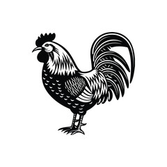 rooster vector art