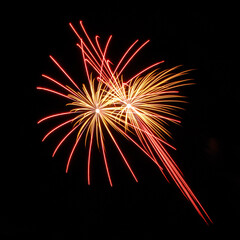 Aerial Shell Red and Gold Dual Fireworks Burst Black Sky