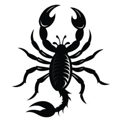 Scorpion Silhouette Vector Illustration
