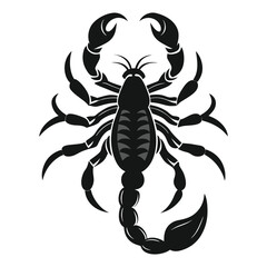 Scorpion Silhouette Vector Illustration
