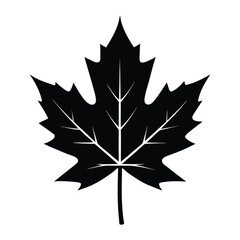 Fototapeta premium A Pack Of Fern Leaf Silhouettes Vector Illustration