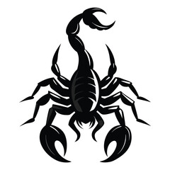 Scorpion Silhouette Vector Illustration
