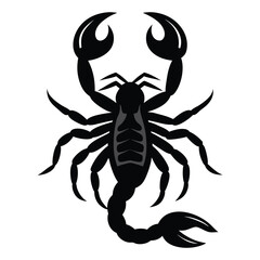 Scorpion Silhouette Vector Illustration
