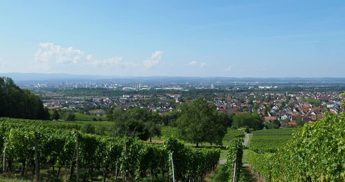 Dreil&auml;ndereck - Blick vom Westhang des T&uuml;llinger Berges und &Ouml;tlinger Weinberge richtung Haltingen und Basel. Im Hintergrund, der Jura, Rheinebene und els&auml;ssische Sundgau
