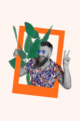 Vertical photo collage of happy hipster man blogger inside instagram post palm leaves show hello...