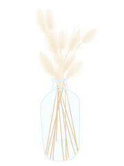 bouquet with yellow dried herb flowers in a glass vase. hand drawn dried flower illustration.