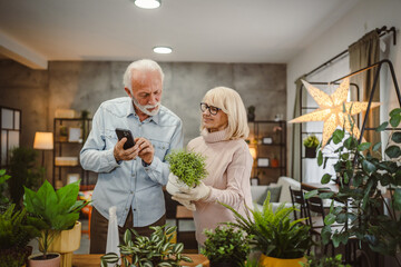 wife and husband explore about plant treatment on mobile phone