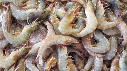 A heap of fresh shrimp with translucent shells, some displaying light green and orange hues, arranged over a bed of ice, showcasing their freshness and vibrant details.