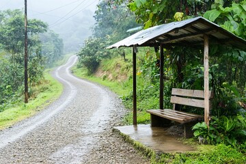 Naklejka premium Empty bus stop with wooden bench on a rural road through tropical forest