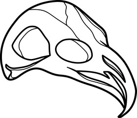 Raven skull outline vector