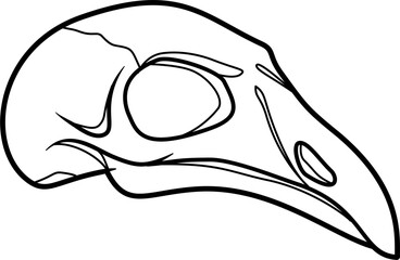 Raven skull outline vector