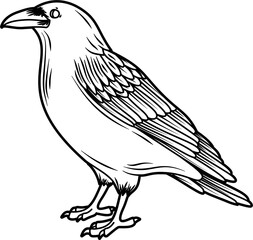 Raven profile outline vector