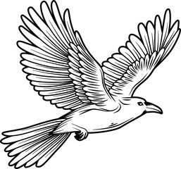 Flying raven outline vector