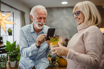 wife hold flower pot while husband photographing that with cellphone