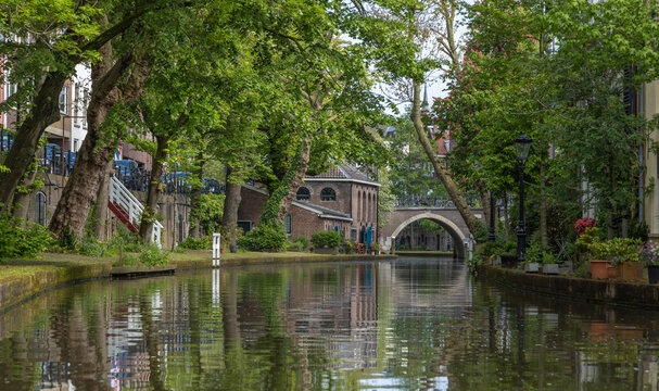 Oudegracht and Twijnstraat aan de Werf Utrecht with wharf  and canal surrounded by green trees, pants and flowers.