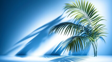 Blue Minimalist Background  Palm Leaf Shadows  Summer Product Presentation
