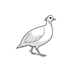  guinea hen vector art
