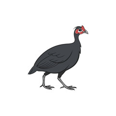  guinea hen vector art