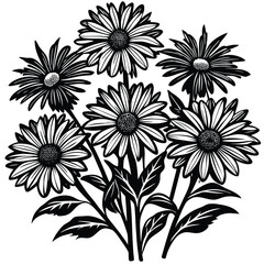 Shasta Daisy Flowers Line Art - Black and White Floral Illustration, Detailed Floral Line Illustration