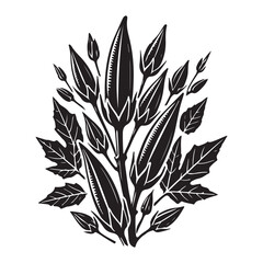 Okra Silhouette Vector Illustration, Solid White Background.