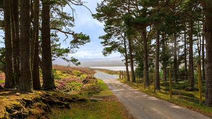 Fototapeta premium Scottish landscapes in Scotland