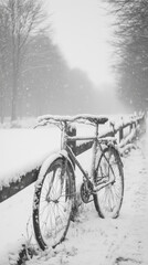 Obraz premium Snowy bicycle leaning against a fence in a winter wonderland. A serene, black and white scene.