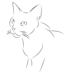 One continuous single drawing line art flat doodle concept, animal, cat, pet, cute, graphic, kitten. Isolated image hand draw contour on a white background
