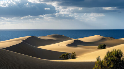 Stunning dunes of Maspalomas meeting the deep blue ocean