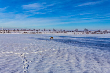 Fototapeta premium Landscapes - Forest - Europe, Romania, Suceava region