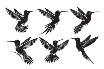 Obraz premium humming bird silhouette vector Illustration on white background
