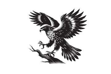 Fototapeta premium Hawk silhouette vector illustration on white background