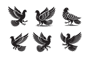Obraz premium Pigeon silhouette vector illustration with white background