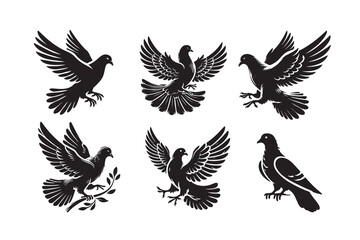 Pigeon silhouette vector illustration with white background