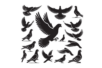 Obraz premium Pigeon silhouette vector illustration with white background