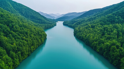 serene river winding through lush green forested mountains under clear sky