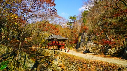 순천 선암사로 가는 산길