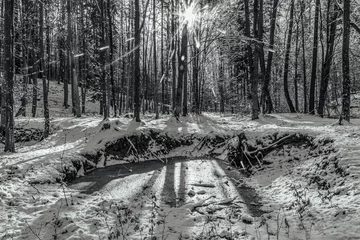 Fototapete Rund Landscapes - Forest - Europe, Romania, Suceava region © Andrii_Mykhailyshyn