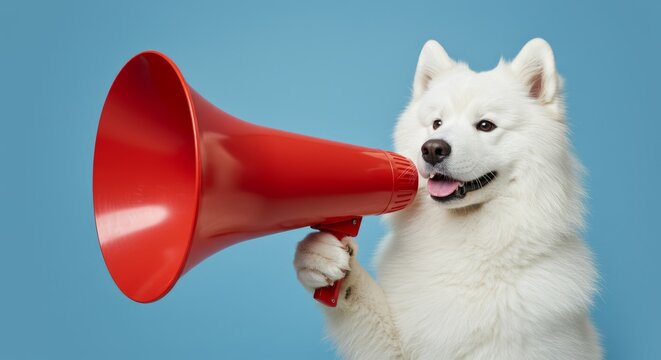 White dog with red megaphone, pet or animal with announcement, blue background or talking. Happy, domestic or funny with communication, attention or promotion for news