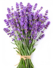 Fototapeta premium Fragrant lavender bunch tied with rustic twine, displaying purple blooms against pristine white background, highlighting natural botanical beauty